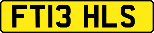 FT13HLS
