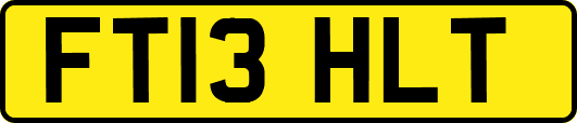 FT13HLT