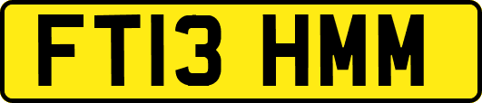 FT13HMM