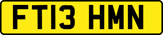 FT13HMN