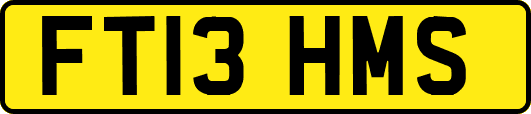 FT13HMS