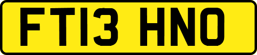 FT13HNO