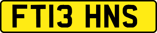 FT13HNS