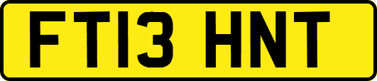 FT13HNT