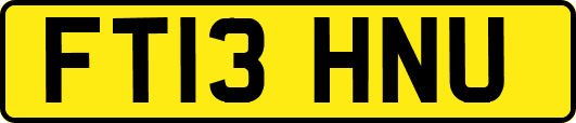 FT13HNU