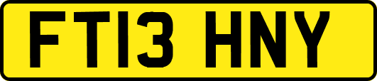 FT13HNY