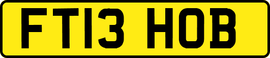 FT13HOB