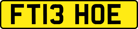 FT13HOE