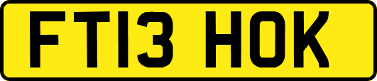 FT13HOK
