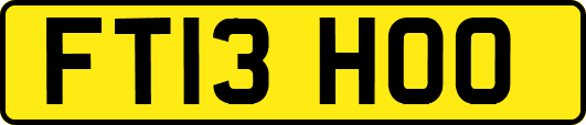 FT13HOO