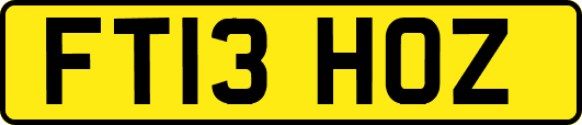 FT13HOZ