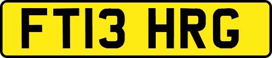 FT13HRG