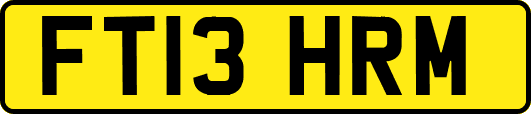 FT13HRM