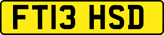 FT13HSD
