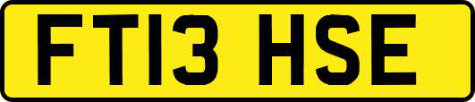 FT13HSE