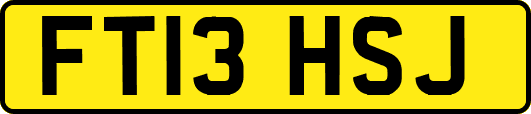 FT13HSJ