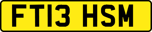 FT13HSM