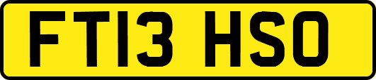 FT13HSO