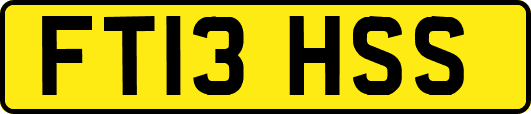FT13HSS