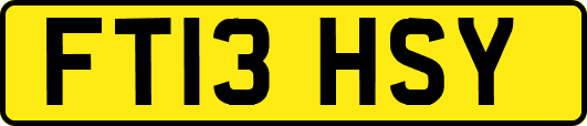 FT13HSY