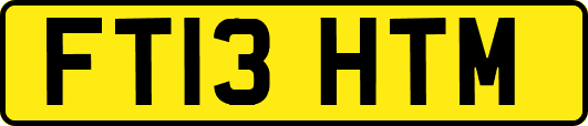 FT13HTM