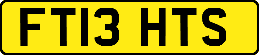 FT13HTS