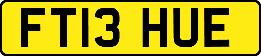 FT13HUE