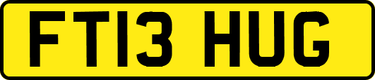 FT13HUG