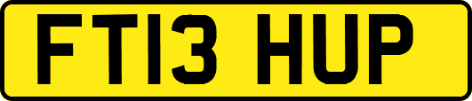 FT13HUP