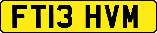 FT13HVM