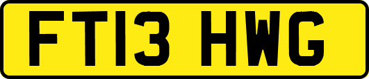 FT13HWG