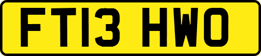 FT13HWO