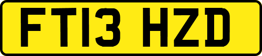 FT13HZD