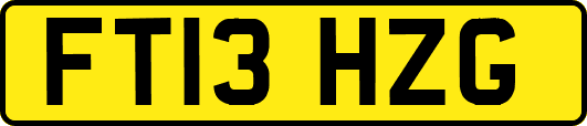 FT13HZG