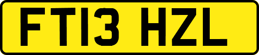 FT13HZL