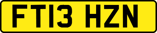 FT13HZN
