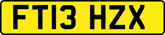 FT13HZX