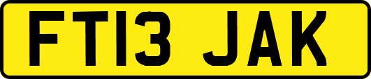 FT13JAK