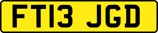 FT13JGD