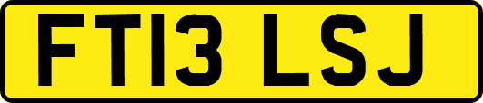 FT13LSJ