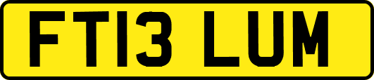 FT13LUM