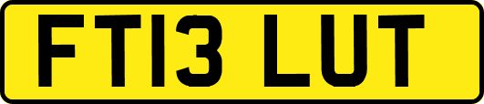 FT13LUT