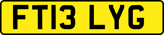 FT13LYG
