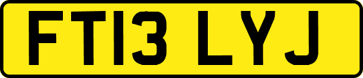 FT13LYJ