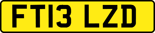 FT13LZD