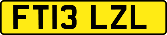 FT13LZL