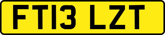 FT13LZT