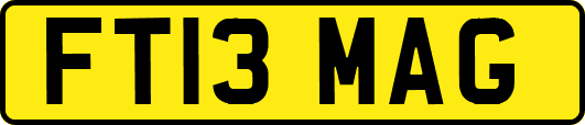 FT13MAG