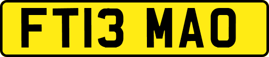 FT13MAO