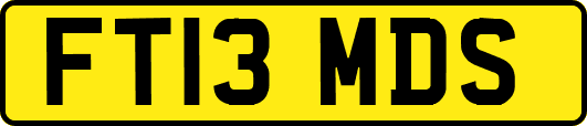 FT13MDS
